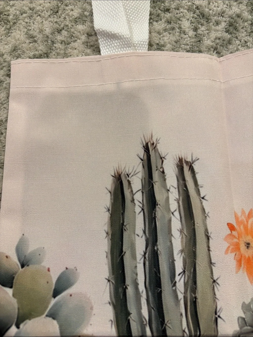 Southwest Desert Botanical Potted Cactus Succulent Poly Canvas Tote Bag NWT